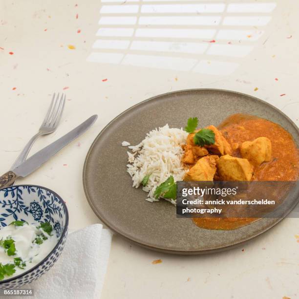 chicken curry, rice and yoghurt-cilantro mixture. - sopa de curry - fotografias e filmes do acervo