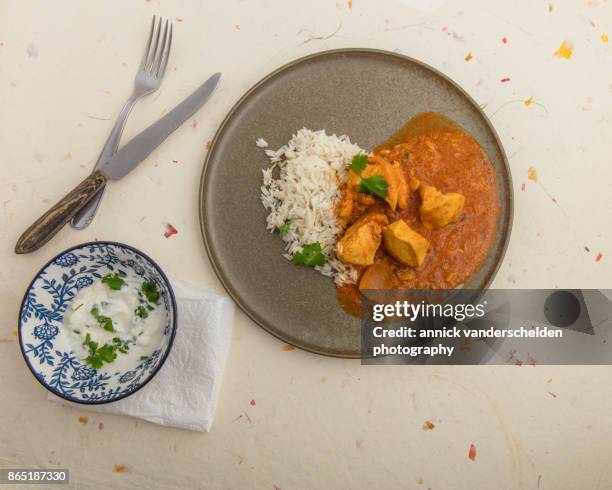 chicken curry, rice and yoghurt-cilantro mixture. - curry soup stock pictures, royalty-free photos & images