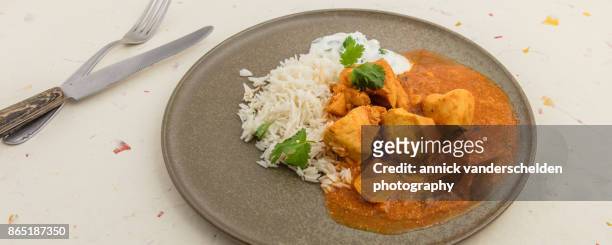 chicken curry, rice and yoghurt-cilantro mixture. - sopa de curry - fotografias e filmes do acervo