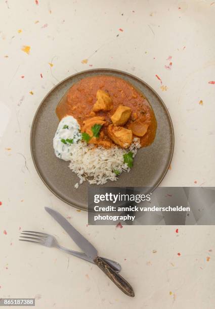 chicken curry, rice and yoghurt-cilantro mixture. - curry soup stock pictures, royalty-free photos & images