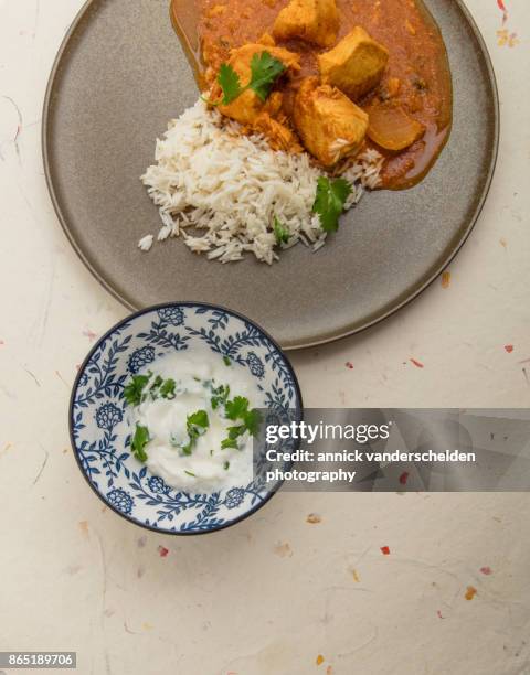 chicken curry, rice and yoghurt-cilantro mixture. - sopa de curry - fotografias e filmes do acervo