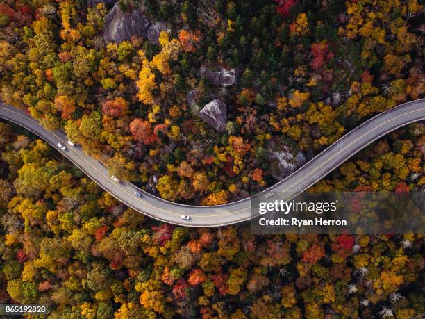 straße durch wald mit autos - suv berg stock-fotos und bilder