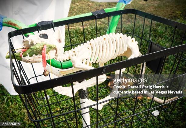 halloween decorations (cat skeleton in basket) in woodstock georgia fall festival - cat skeleton 個照片及圖片檔