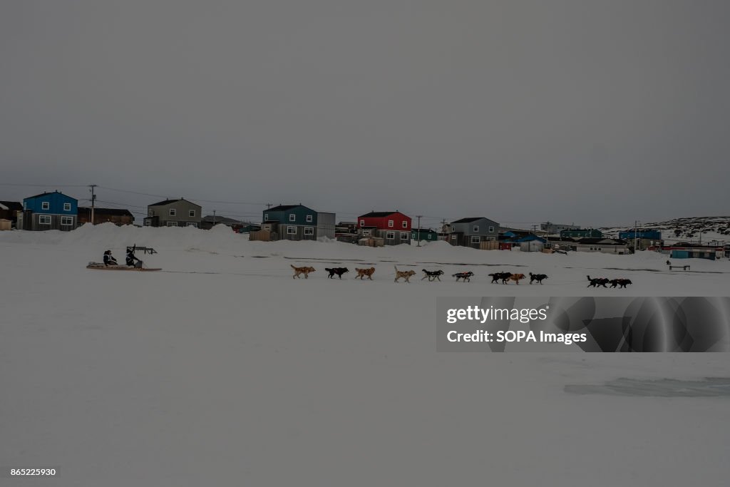 One of the team arriving in Inujuak.
Since 2001, Ivakkak has...