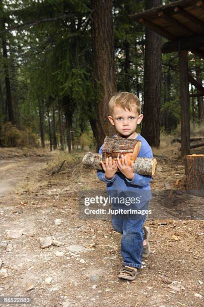 boy carrying wood - lake chelan stock-fotos und bilder