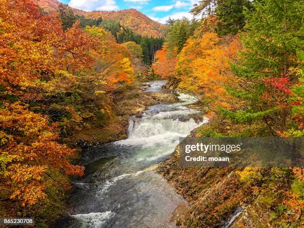 autumn wateralls - mutsu stock pictures, royalty-free photos & images