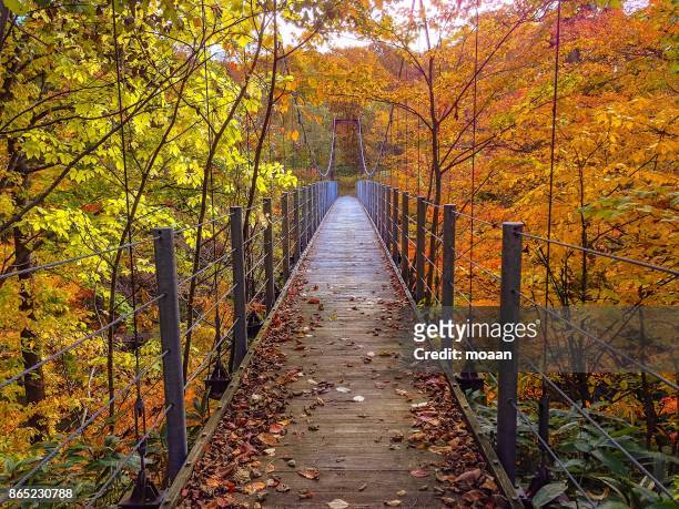 rope bridge to autumn - mutsu stock pictures, royalty-free photos & images