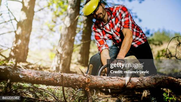 junge holzfäller - holzfäller stock-fotos und bilder