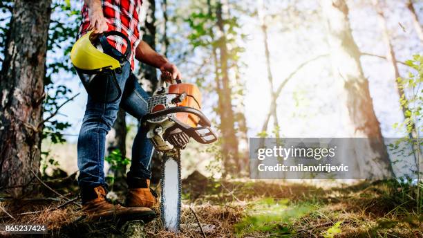 lumberjack - motorsåg bildbanksfoton och bilder