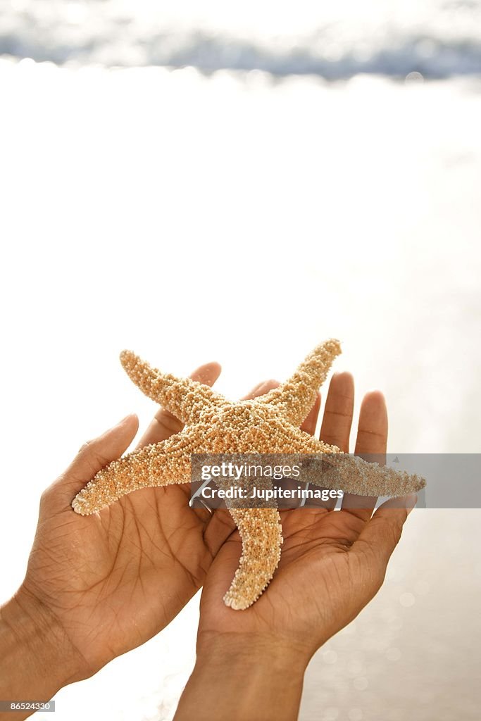 Hands holding sea star