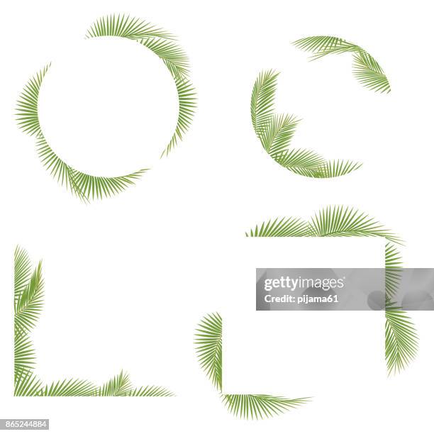 palm tree flügelrahmen - palmenblätter stock-grafiken, -clipart, -cartoons und -symbole