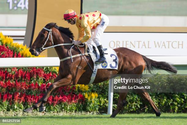 Jockey Zac Purton riding Gold Mount wins Race 6 Bulgari Excellent Handicap at Sha Tin racecourse on October 22, 2017 in Hong Kong, Hong Kong.