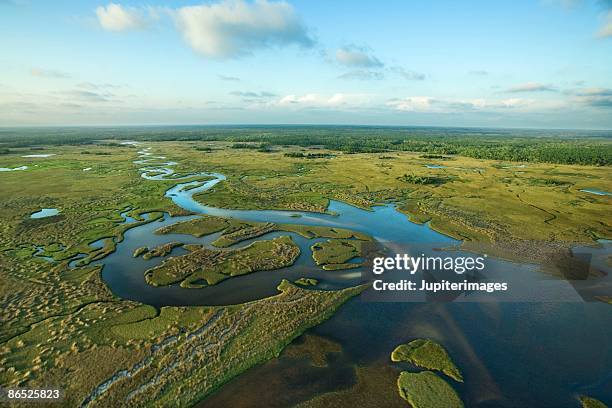aerial view of florida everglades - everglades national park stock pictures, royalty-free photos & images
