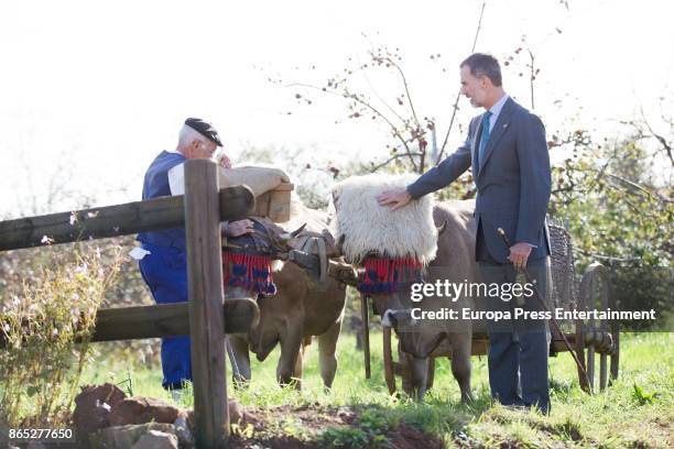 King Felipe VI of Spain visits Porenu village on October 21, 2017 in Villaviciosa, Spain. Porenu has been honoured as the 2017 Best Asturian Village...