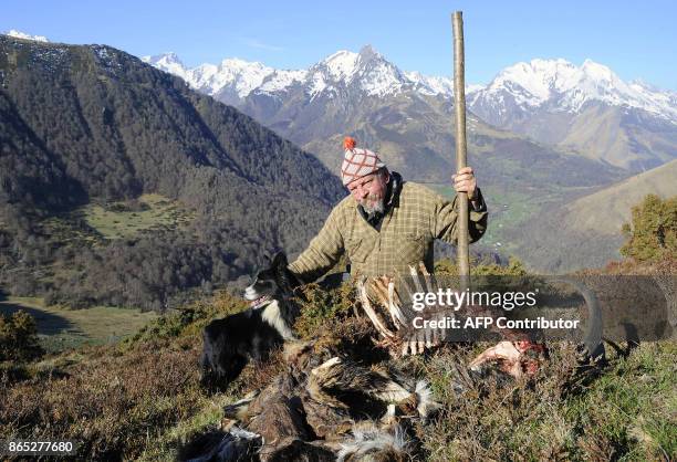 Photo du chevrier "Papy Pedron" prise le 11 avril 2010 devant le cadavre d'une de ses chèvres, victime présumée de l'ours Canelito sur la commune se...