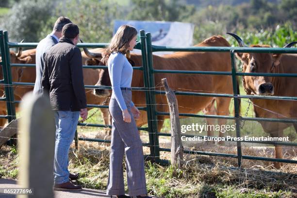 King Felipe VI of Spain and Queen Letizia of Spain visit Porenu village on October 21, 2017 in Villaviciosa, Spain. Porenu has been honoured as the...