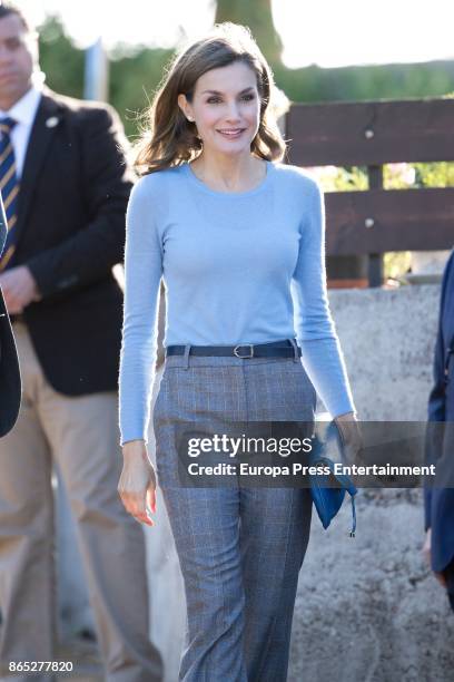 Queen Letizia of Spain visits Porenu village on October 21, 2017 in Villaviciosa, Spain. Porenu has been honoured as the 2017 Best Asturian Village...