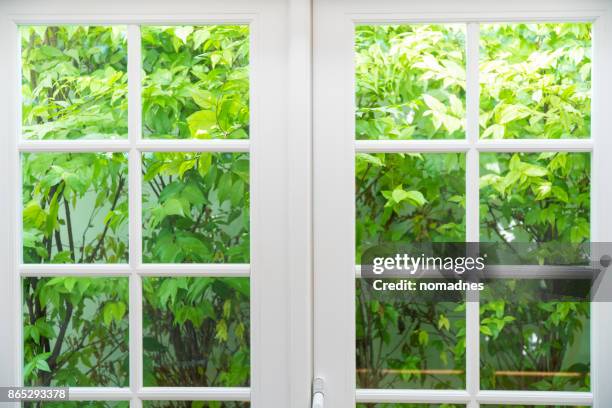 wood window frame with green leaves background - newly industrialized country stock pictures, royalty-free photos & images