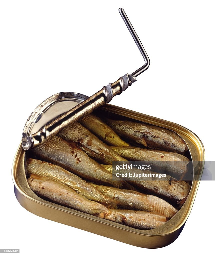 Sardines in tin can