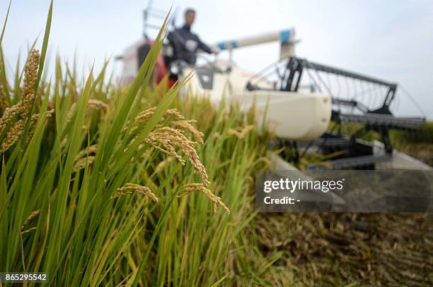Chinese Rice Combine 1,383 Xinghua Jiangsu Stock Photos, High-Res Pictures, and Images ...