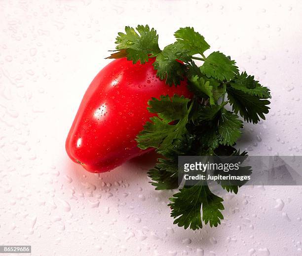 tomato and cilantro - plum tomato stock pictures, royalty-free photos & images