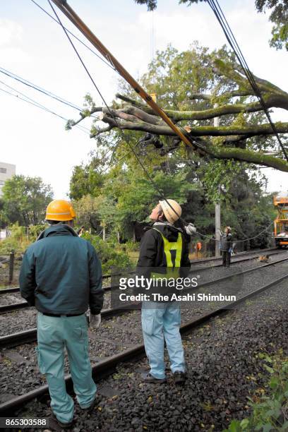 Workers continues the recovery operation as trees fell on the track of Randen Arashiyama Line after Typhoon Lan hit past Japan on October 23, 2017 in...