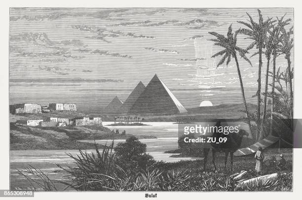 ilustrações de stock, clip art, desenhos animados e ícones de pyramids of giza during a nile flooding, published in 1882 - cairo