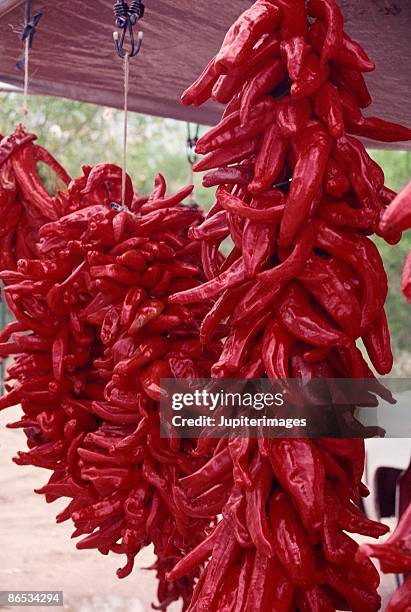 bushels of chili peppers hanging to dry - en chapelet photos et images de collection