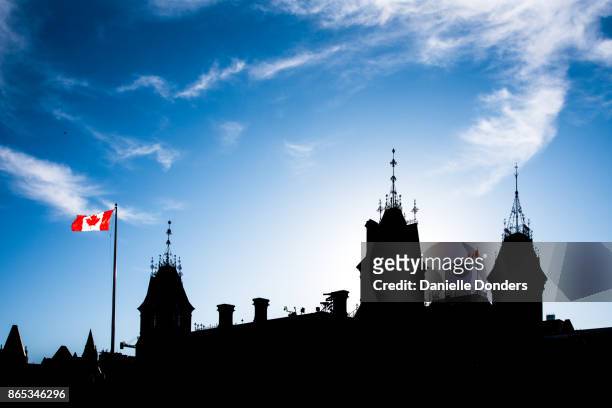silhouette of canada's parliament buildings - canada stock pictures, royalty-free photos & images