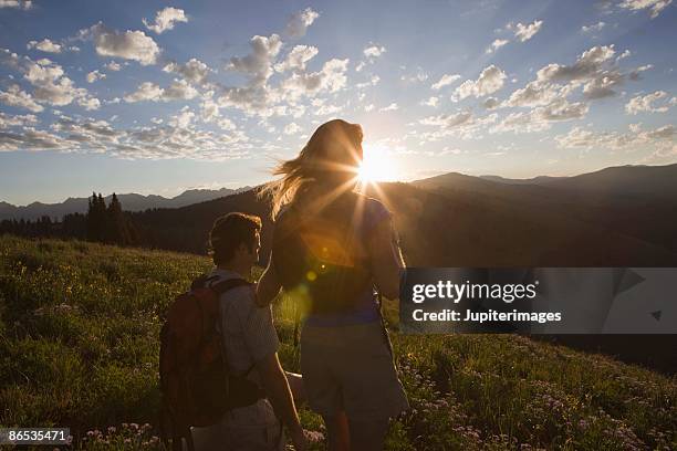 hikers on mountainside - alm stock-fotos und bilder