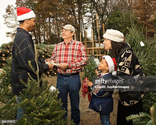 family buying christmas tree - african people buying a christmas tree stockfoto's en -beelden