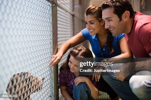 Family at an animal shelter Family at an animal shelter