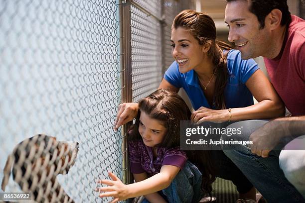 family at an animal shelter - dog pound stock pictures, royalty-free photos & images