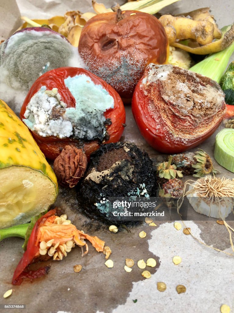 Single Rotten Vegetable Rotten Fruit And Vegetables Coach Lisle If You Take A Piece Of