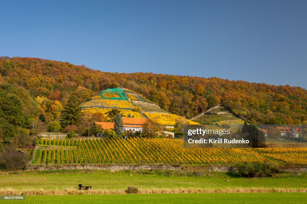 Hills around Pillnitz on a n autumn day