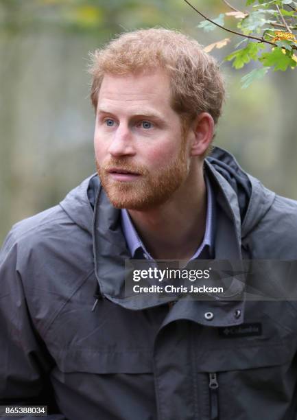 Prince Harry during a visit to Myplace at Brockholes Nature Reserve, a project which aims to empower young people by encouraging them to take action...