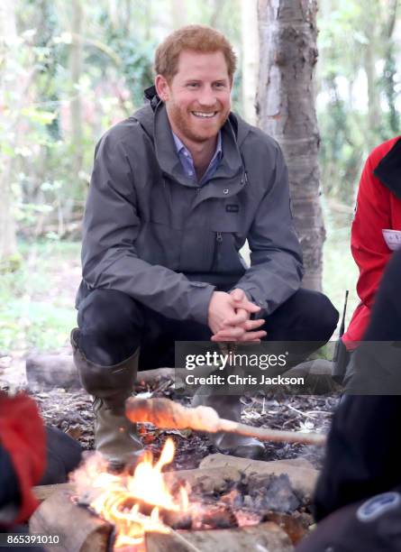 Prince Harry roasts marshmallows during a visit to Myplace at Brockholes Nature Reserve, a project which aims to empower young people by encouraging...