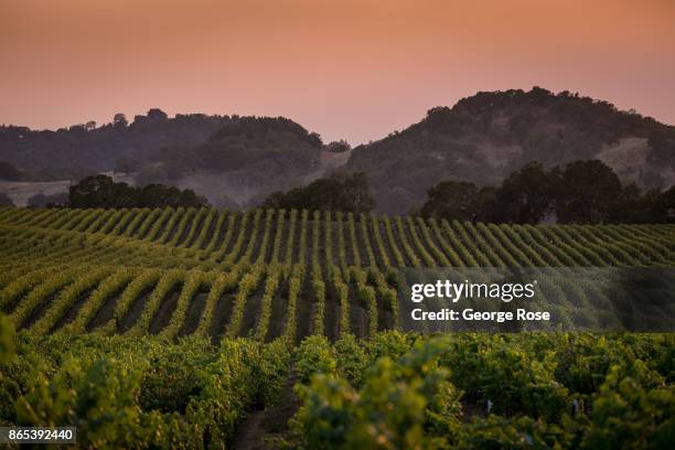 Smoke and ash from the Pocket and Tubbs Fires, two of 12 fires burning in Wine Country, create a smokey and surreal sunset on October 12 near...