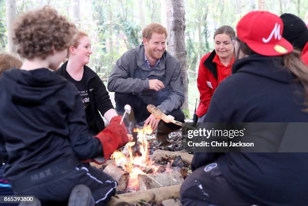 Prince Harry roasts marshmallows during a visit to Myplace at Brockholes Nature Reserve, a project which aims to empower young people by encouraging...