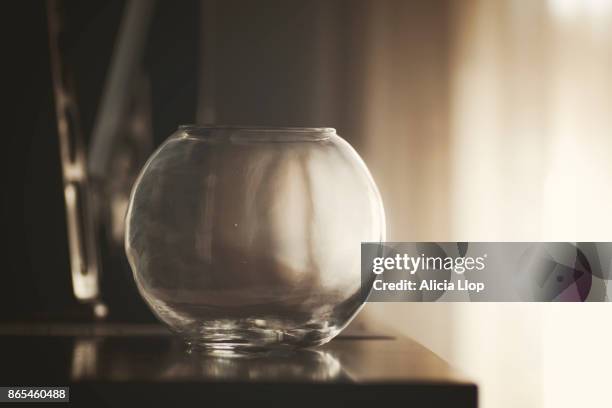 empty fishbowl - fish bowl stock-fotos und bilder