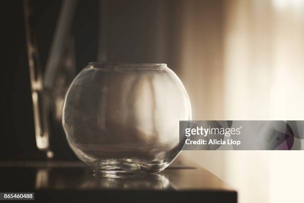 empty fishbowl - goldfish bowl stock pictures, royalty-free photos & images