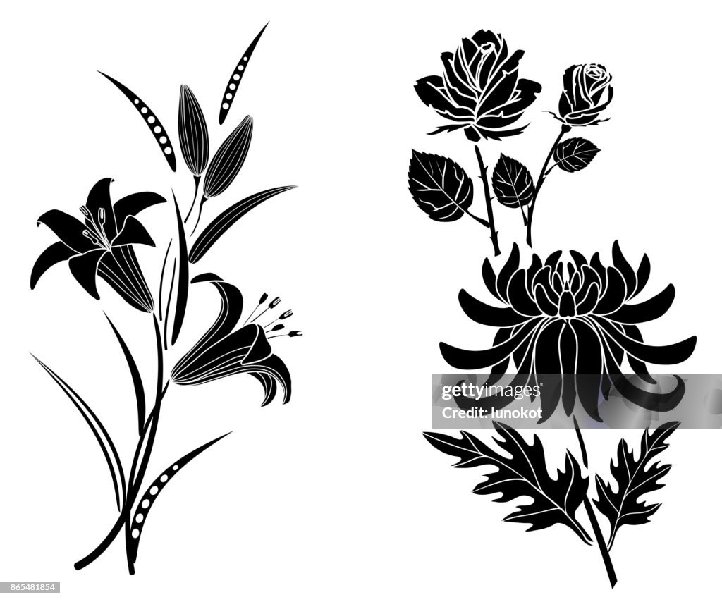 Tatuaje De Rosa Y El Lirio Y El Crisantemo Silueta De Flores Y Hojas Sobre Fondo Blanco Ilustración de stock - Getty Images Tatuaje De Rosa Y El Lirio Y El Crisantemo Silueta De Flores Y Hojas Sobre Fondo Blanco Ilustración de stock - Getty Images