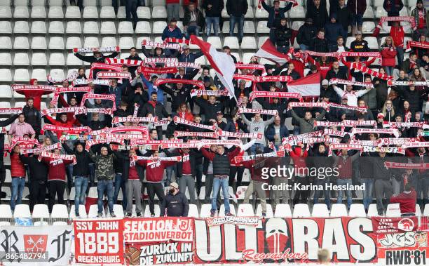 Fans of Regensburg with scarves during the Second Bundesliga match between FC Erzgebirge Aue and SSV Jahn Regensburg at Sparkassen-Erzgebirgsstadion...
