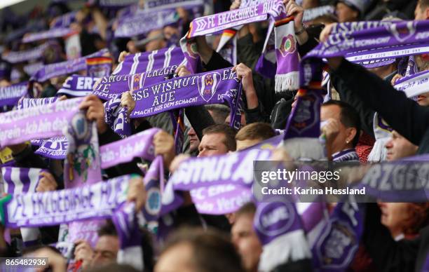 Fans of Aue with scarves during the Second Bundesliga match between FC Erzgebirge Aue and SSV Jahn Regensburg at Sparkassen-Erzgebirgsstadion on...