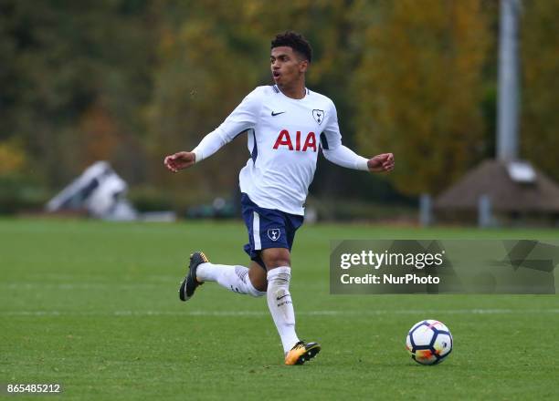 Marcus Edwards of Tottenham Hotspur during Premier League 2 Div 1 match between Tottenham Hotspur Under 23s against Arsenal Under 23s at Tottenham...