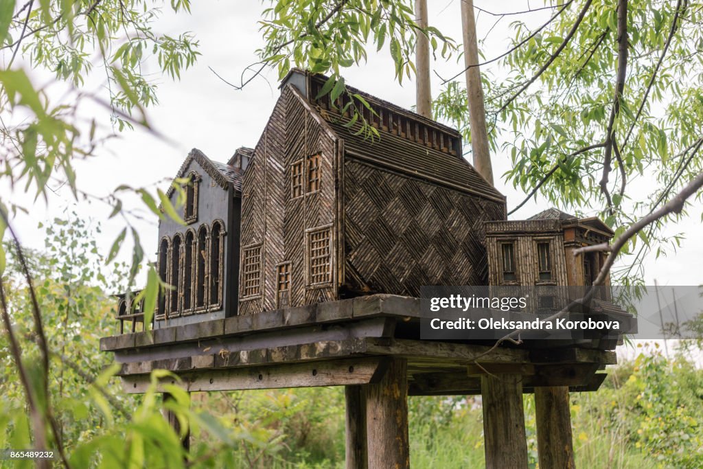 Decorative bird house hidden between tree branches