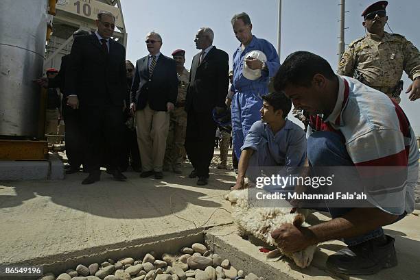 An Iraqi man slaughters a sheep as U.S. Ambassador to Iraq Christopher R. Hill and Iraqi Minister of Electricity Dr. Karim Wahid look on during a...