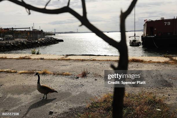 The Red Hook neighborhood in Brooklyn ends at New York Harbor on October 23, 2017 in New York City. Red Hook, like many coastal neighborhoods in New...