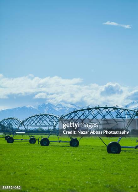 sprinkler in a lush green farm, south island, new zealand. - irrigation canterbury stock pictures, royalty-free photos & images