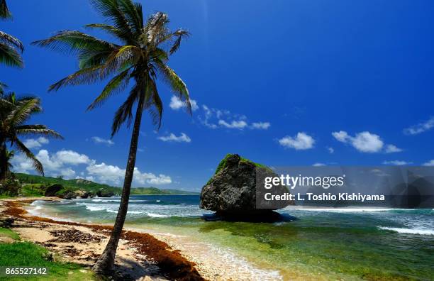 barbados - bridgetown barbados stock pictures, royalty-free photos & images